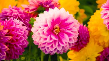 Foto: Kristina v. Ehren